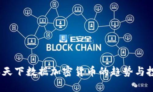 2023年天下数据加密货币的趋势与投资策略